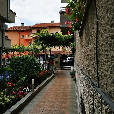 Vylchev Homestay *