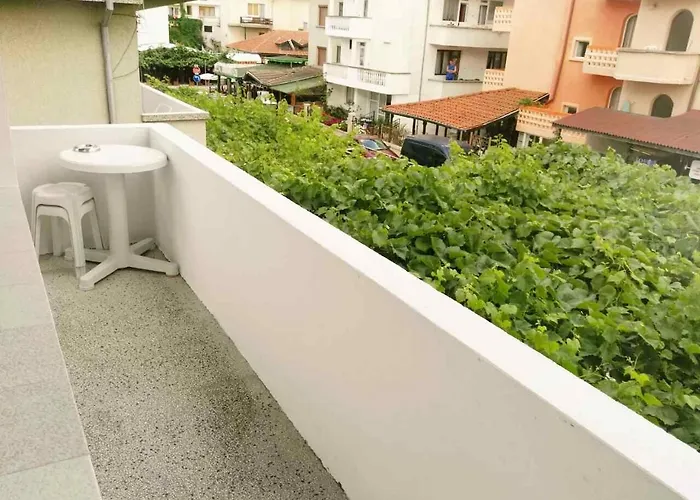 Vylchev Kiten (Burgas)