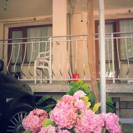 Habitación en casa particular Vylchev *