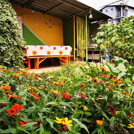 Vylchev Kiten (Burgas)