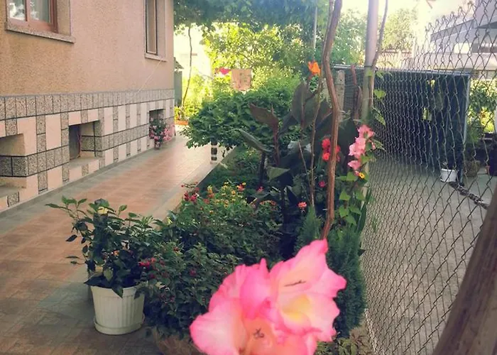 Vylchev Kiten (Burgas)