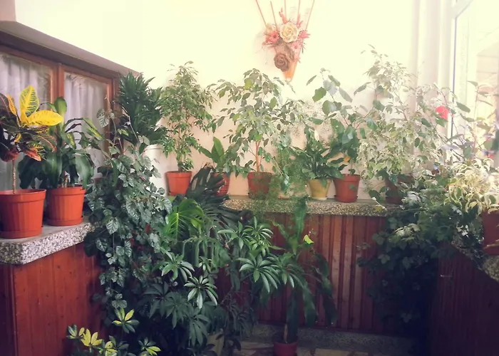 Vylchev Habitación en casa particular *