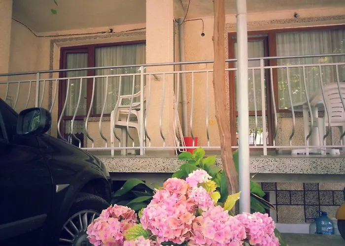 Accommodatie bij particulieren Vylchev *