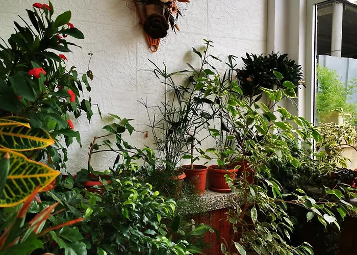 Vylchev Habitación en casa particular