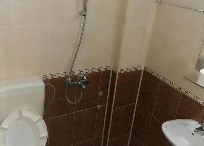 Vylchev Kiten (Burgas)