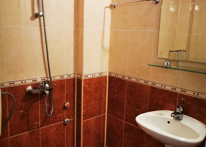 Accommodatie bij particulieren Vylchev