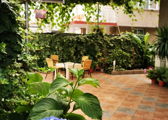 Vylchev Accommodatie bij particulieren Kiten (Burgas)