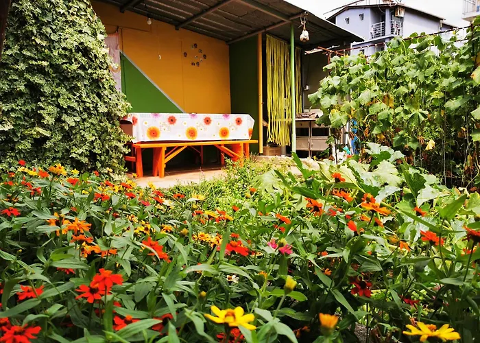 Vylchev Kiten (Burgas)